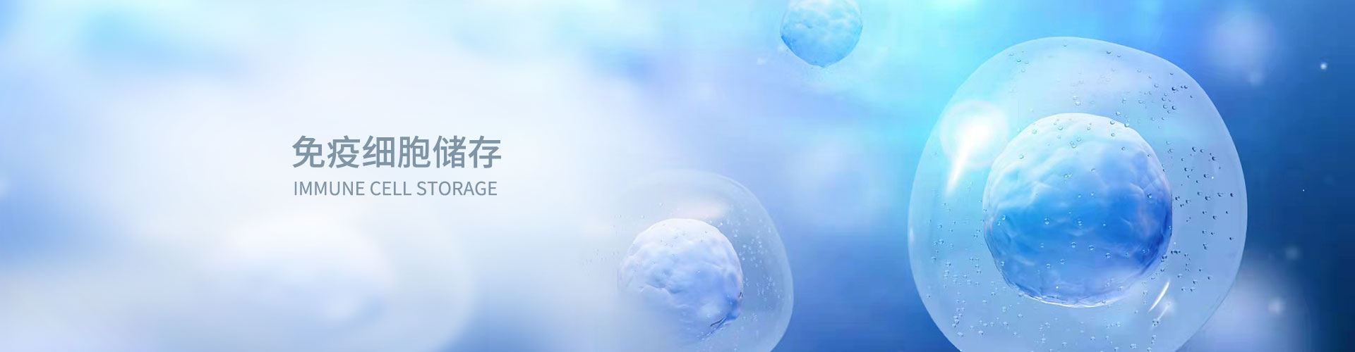 免疫细胞储存